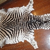 Zebra Hide